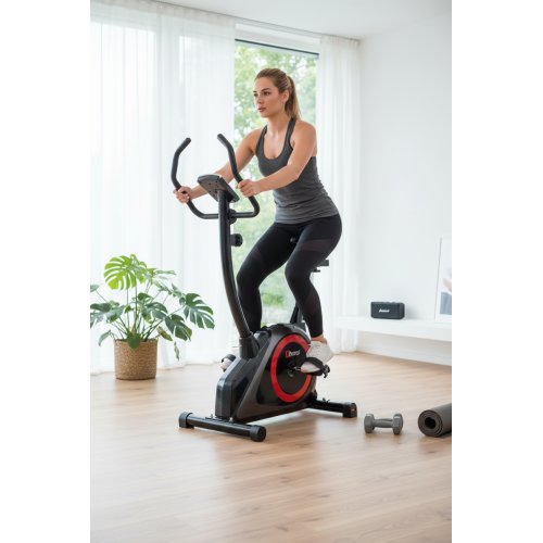 Rower magnetyczny RW-33